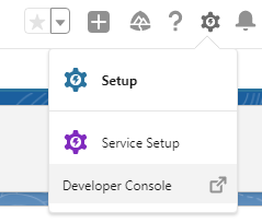 opening the salesforce developer console
